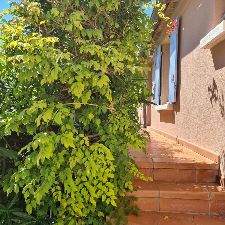 Hameau Des Amandiers - Vue Mer, Golf Et Vignes Apartment Saint-Cyr-sur-Mer Exterior foto